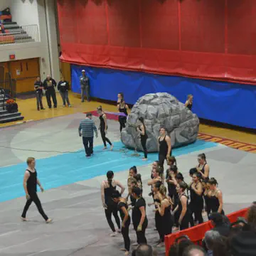 Artificial Boulder from EPS Foam