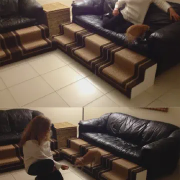 Dog Stairs created using EPS Foam