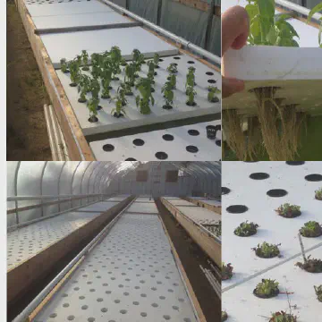 EPS foam panel used to create aquaponic garden