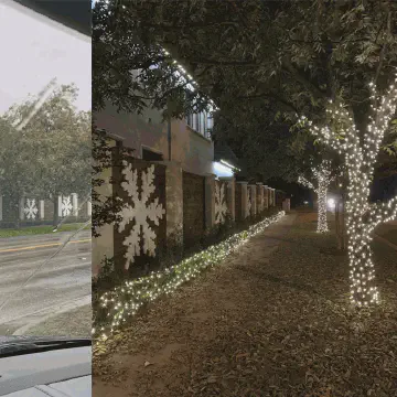 Giant EPS Snowflakes