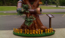 Tree using Large EPS Block