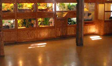 Coated EPS Foam to create rocks and landscape