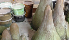 Expanded Polystyrene for Custom Exhibition Booth