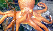 EPS Foam to create themed artistic elements for Zoos, Aquariums and Museums