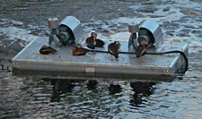 EPS Blocks used for Floatation in Commercial Pond Aeration