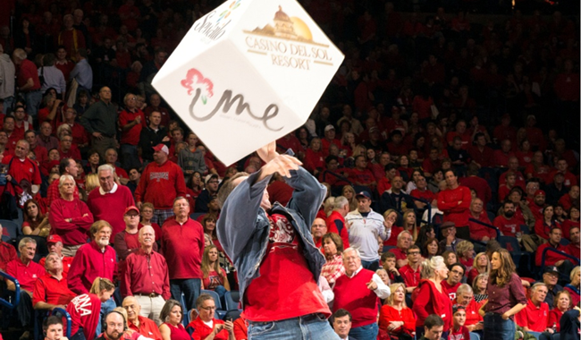 20” dice were made from 2.2 lb density Ethafoam