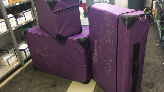 Veterinarians used EPS Foam Blocks to Stand on When Examining Farm Animals