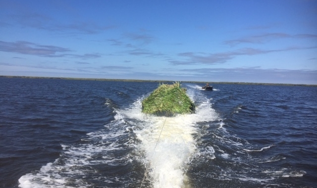 Floating Drive in Duck Blind